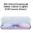 256 | 애플 아이폰 17 자급제 256GB 화이트 후기, 프로 말고 일반 모델 고른 이유