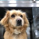 과학마을로,2길 이미지