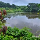 삼사낚시터 이미지