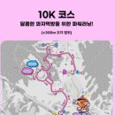 평화 | 2025 유관순 평화마라톤 후기