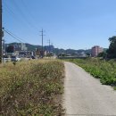 주산보건지소 이미지