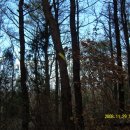 구봉산근린공원 이미지