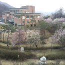 효원연수문화쎈타
