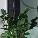 에그리데이(EGGRYDAY) 이미지