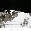 안민고개길 이미지