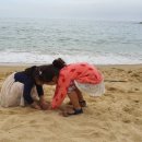 지에스(GS)25영진해변점 이미지