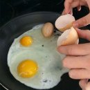 샐리의 법칙(sally´s law) 이미지