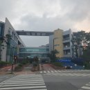 안심제1종합사회복지관 | [수원 수영 강습] 영통종합사회복지관 신규 등록 성공 후기 &amp; 자유수영 시간표·시설 총정리