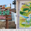 죽청대파니마을 이미지