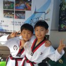 늘푸른효태권도장 이미지