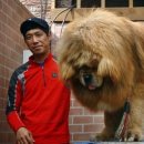 짱오농장 이미지