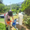 사랑몬테소리어린이집 이미지