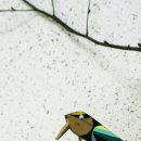 경제농장 이미지