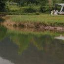 서대산드림캠핑파크 이미지