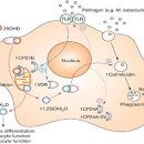 시청비타민약국 이미지