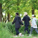 가족의 그리움 꽃ㅡ찔레꽃 향기 - by 모모수계 이미지
