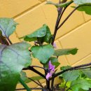 행복나무유치원 이미지