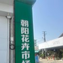 [중국 우시 꽃집] 꽃 가격 정보, 난창쓰 근처 꽃가게 이용 꿀팁