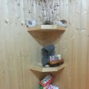 별별,당근이야기 이미지