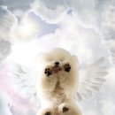 뭉개뭉개 이미지