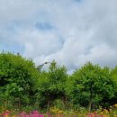 서산버드랜드 이미지