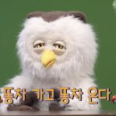 딩동댕 이미지