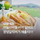 순천매실 | 맥도날드 창녕갈릭버거 맥런치 가격 시간 순천매실맥피즈 후기