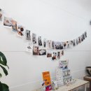 개깎쟁이 이미지