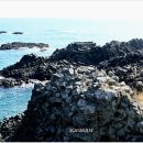 양남주상절리 이미지