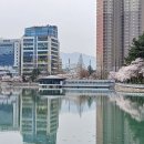 호수매점 - 평택시 고덕국제3길 77 | 호수매점