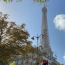 까미하우스 이미지