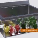 탑야채 티스토리