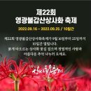 [100대명산] 불갑산 상사화 축제+용천사 꽃무릇 이미지