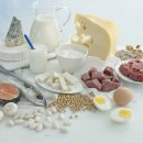 펫영양사 이미지