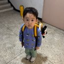 수능 탈출 콘서트 | 평범한 11월 같은데..