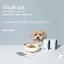 오메가미용실 | (협찬) 씽크라이크펫 바이탈케어 알티지 오메가3 체험후기