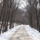 봉은사판전현판 | 서울 삼성동 선정릉 숲길 겨울 산책, 도심 속 천년고찰 봉은사를 걷다