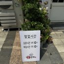 모아모아 손만두 이미지