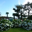 꿈의광장 이미지