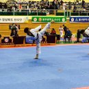 금빛나래 태권도장 이미지