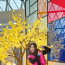 익산 보석박물관 이미지