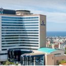 드림제주 주식회사