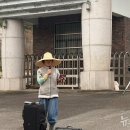 금강수목원 네이버블로그