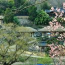 고향의봄 이미지