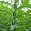 아름농장 이미지