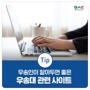 송인정보 이미지