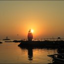 일기일회 이미지