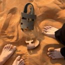 금성빌라 앞 | 한 번은 가봐야 할 아부다비 사막호텔 카사르 알 사랍 (카스르 알 사랍) 여행 브이로그 사막 액티비티 후기