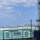 세나쿠룸제주 | 아늑하고 포근했던[세나쿠룸] 제주애월 풀빌라 독채 /한림수협마트 딱새우/애월 빵 공장