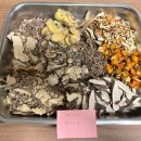 경희향한의원 이미지